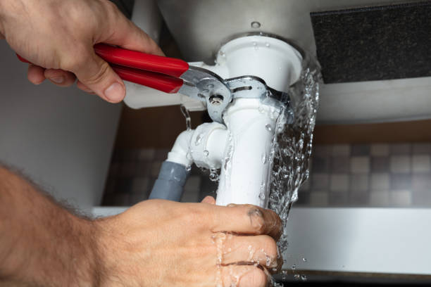 Best Professional water damage repair  in Thorndale, PA