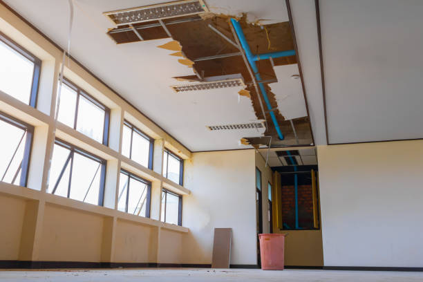 Best Carpet water damage restoration  in Thorndale, PA