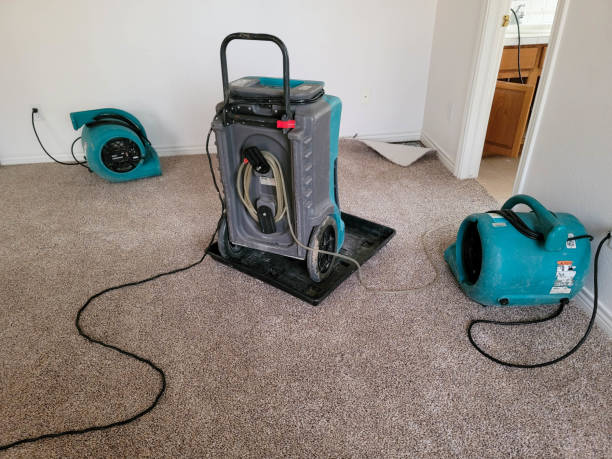 Best Water damage restoration near me  in Thorndale, PA
