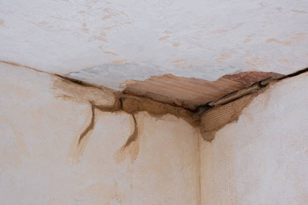 Best Flood damage cleanup  in Thorndale, PA