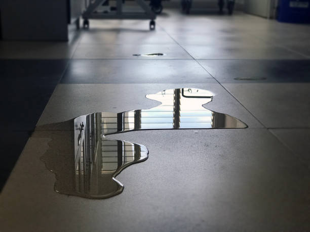 Best Water damage restoration process  in Thorndale, PA