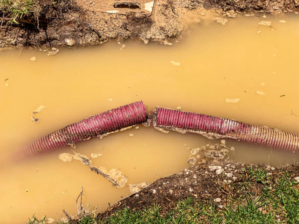 Best Sewage cleanup and water damage restoration  in Thorndale, PA