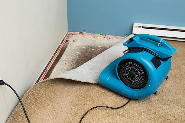 Best Water damage cleanup near me  in Thorndale, PA